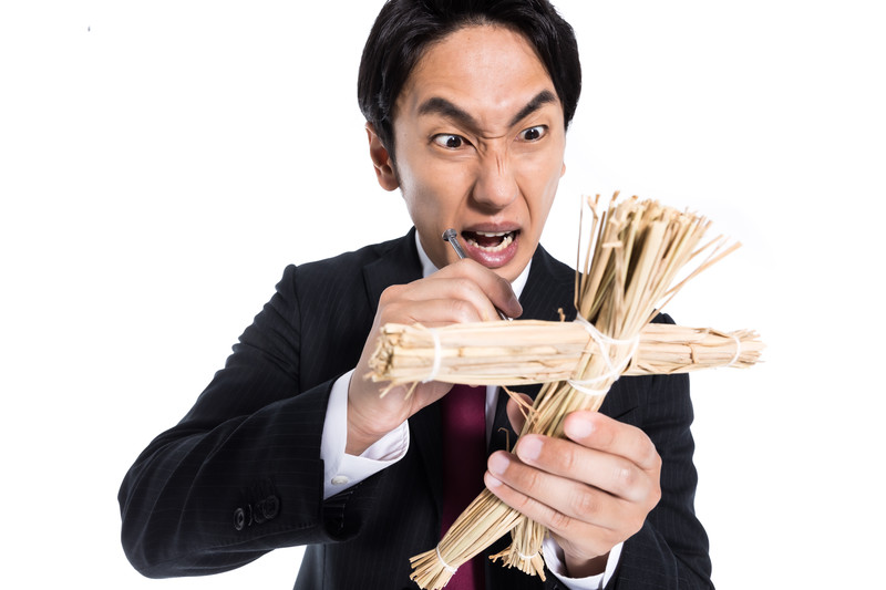 嫌な虫の侵入を防ぎたい 4つの対処法で虫の侵入を防ごう 新築 増築 リフォーム 木組み建築 株式会社小川建築 三重県 四日市